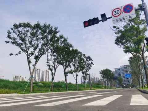 成都市各地课题筑造热火朝天的进行中