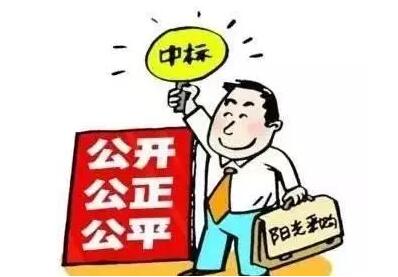 胜天国际招投标内幕3